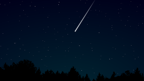 В этом году ожидается еще 5 звездопадов. Фото: pixabay.com/OpenClipart-Vectors