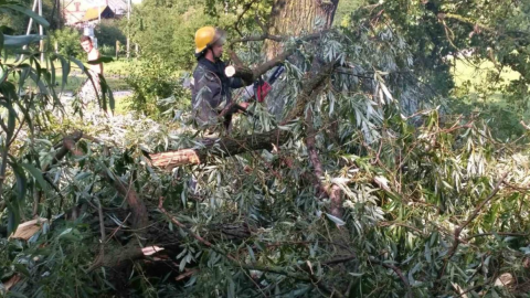 У Волинській області вирувала негода: пошкодила дахи десятків будівель, повалила дерева