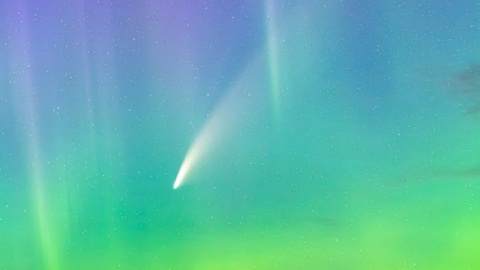 Комета NEOWISE в Канаде. Фото: Harlan Thomas.
