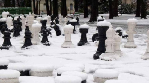 Шахматы не будут включены в программу зимних Олимпийских игр