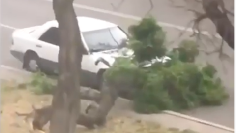 Наслідки негоди в Одесі. 