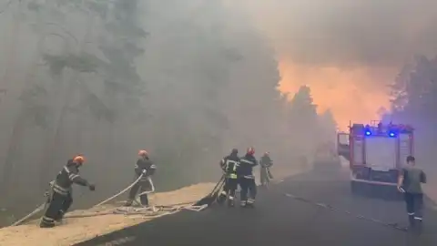 Ліквідація пожежі в Луганській області. Фото: ДСНС