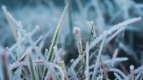 Заморозки будут по всей Украине. Фото: pinterest.com/pin/Marissa Iacoviello