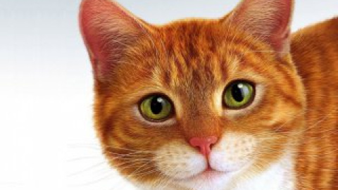 Водій і поліцейські акуратно витяглися застряглого кота й передали його ветеринарові, що під'їхав.