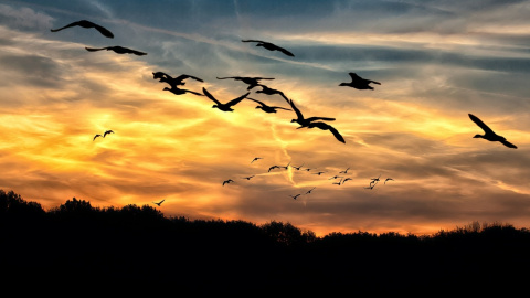 Основним обрядом дня є ворожіння. Фото: pixabay.com