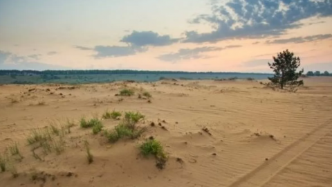 Невероятные места в Харьковской области. Фото: dikary.com