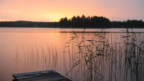 Літо. Фото: pixabay