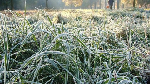 В Украину идут заморозки. Фото: tengrinews.kz