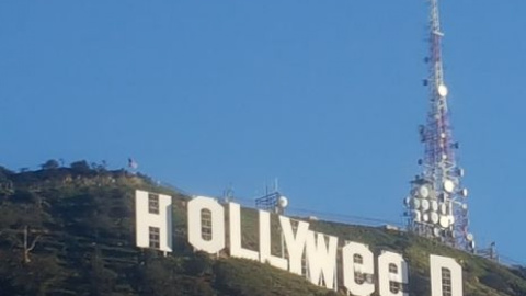 Неизвестный шутник испортил надпись Hollywood. Фото: twitter.com/vsauce
