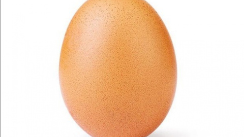 На сторінці - одне єдине фото. Фото: world_record_egg/Instagram