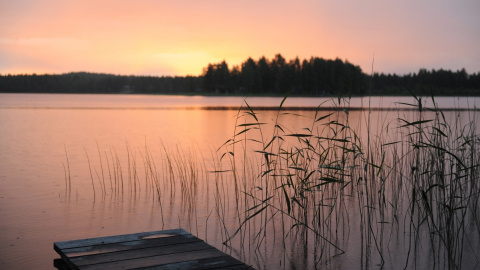 Пейзаж. Літо. Вечір. Фото:pixabay.com