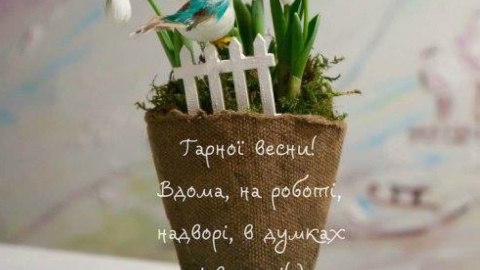 Весной оживает природа, просыпаясь от зимней спячки. Фото: facebook.com/Назар Леськів