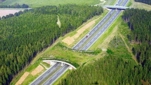 В Украине появятся "зеленые" коридоры.  Фото: Simon Leufstedt/green-blog
