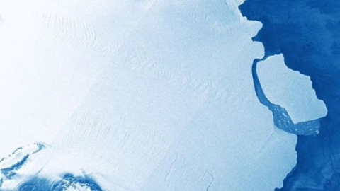 Від Антарктиди відколовся айсберг. Скріншот: Instagram/bbcnews 