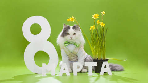 8 марта отмечают всего в 32 странах мира. Фото: соцсети