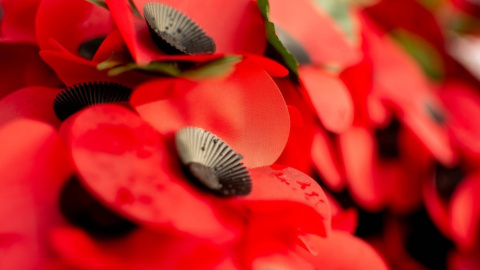 Сегодня 74-я годовщина победы над нацизмом во Второй мировой войне. Фото: pixabay.com