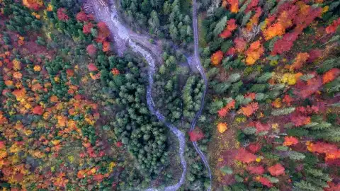 Карпати. Біля села Дземброня.