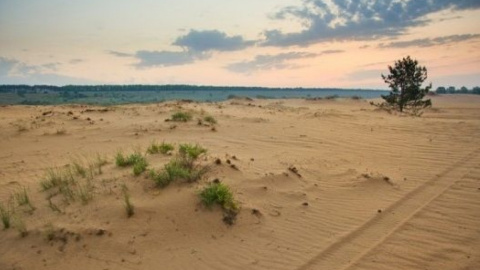 Невероятные места в Харьковской области. Фото: dikary.com