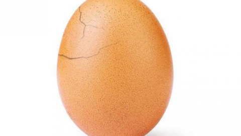 За 9 годин яйце набрало 3,7 млн вподобань. Фото: world_record_egg/Instagram