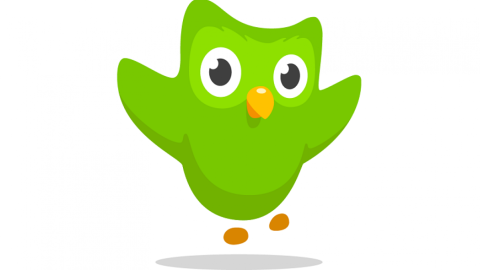 Логотип Duolingo. Фото: duolingo