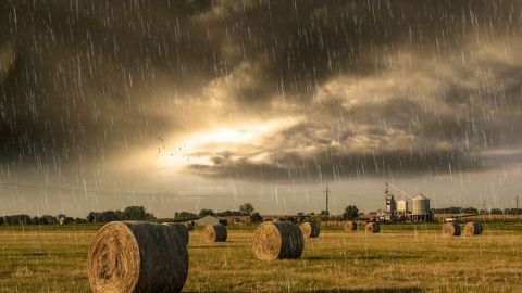 Літній дощ. Фото: pixabay