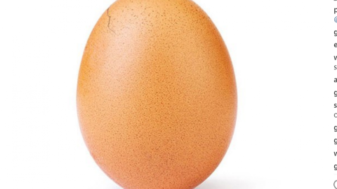 На яйці, що тріснуло, 5 млн лайків за 16 годин. Фото: world_record_egg/Instagram