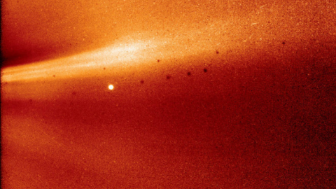 Наступне зближення з Сонцем зонд повинен почати 4 квітня. Фото: NASA/Naval Research Laboratory/Parker Solar Probe