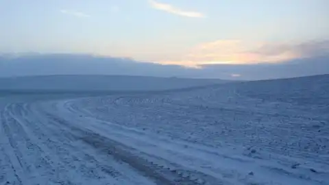 Снег и заморозки пришли в Украину. Фото: SuperAgronom.com
