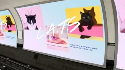 ​В Лондоне активисты решили бороться с наружной рекламой с помощью котов