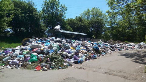 Жители Львова жалуются на то, что в лежащем на улицах мусоре завелись крысы. Фото: facebook.com/profile.php?id=100000828399578&fref=nf