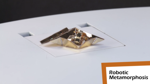 В будущем ученые планируют добавить новые возможности для робота. Фото: Robotic Metamorphosis