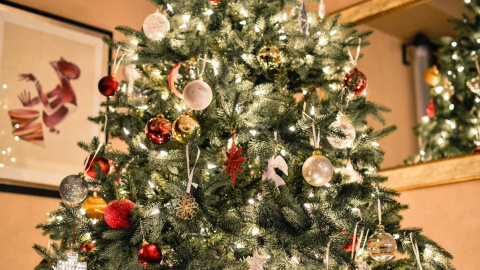Елка. Фото: pixabay