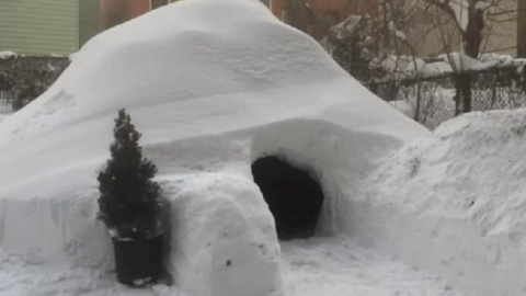 ​Американец построил эскимосское иглу и сдал его на Airbnb