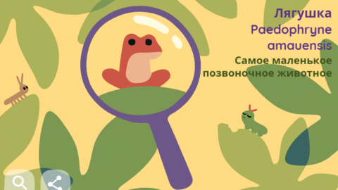 Рідкісні тварини і рослини в новому дудлі. Скріншоти: google.com.ua