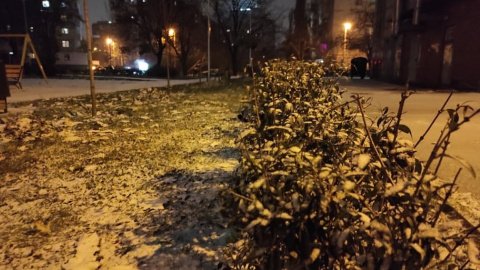 Сніг у Києві
