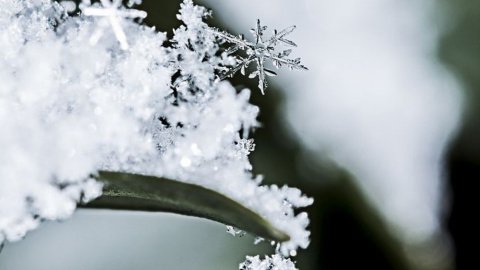 Снегопад. Фото: pixabay
