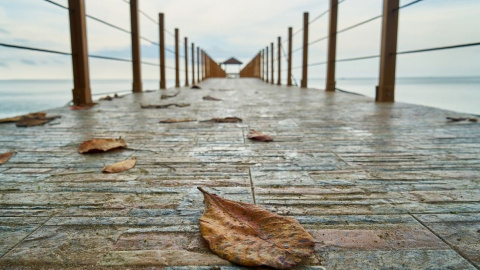 Осінь. Фото: pixabay