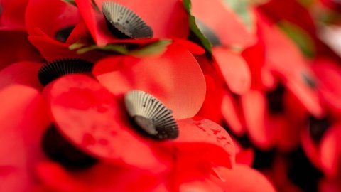 Сьогодні 74-а річниця перемоги над нацизмом у Другій світовій війні. Фото: pixabay.com