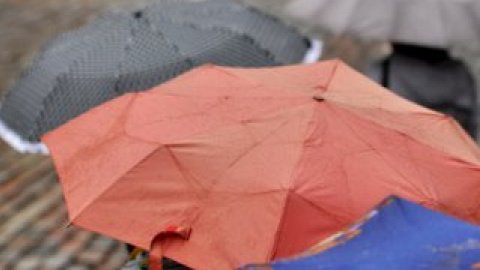 В пятницу в Киеве без осадков, вечером кратковременный дождь, +24...+26