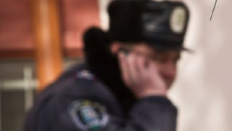 Вартових закону і власницю магазину відвезли до міліції для дачі свідчень.