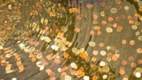 Туристи та місцеві жителі кидають монетки у фонтан, щоб їх бажання збулися.