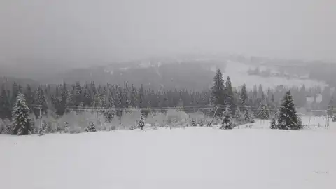 Карпаты в снегу. Фото: Влад Каретник/Facebook

