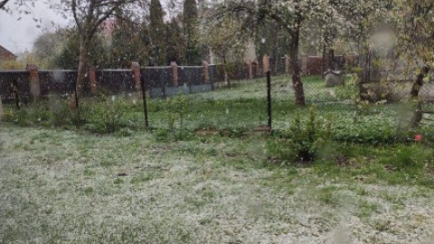 Сніг у Львові. Фото: Галина Батюсь
