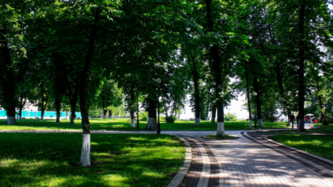 Маріїнський парк. Фото: zeft.in.ua