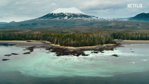 Кадр из фильма "Our planet". Фото: YouTube/Netflix