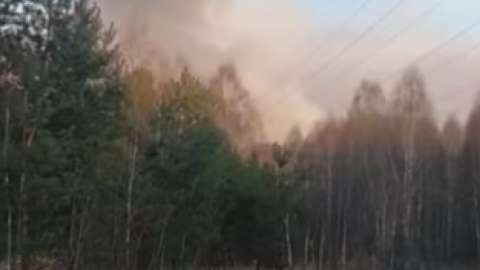 У Зоні відчуження продовжують ліквідувати масштабну лісову пожежу