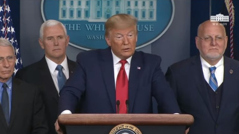 Дональд Трамп. Скриншот видео 
The White House
