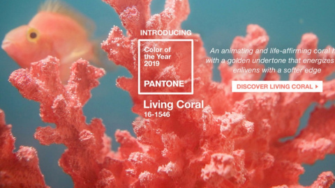 Цей відтінок дуже життєстверджуючий, теплий і яскравий. Фото: Pantone