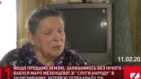 Бабушка депутата от "Слуги народа" заявила, что против продажи земли иностранцам