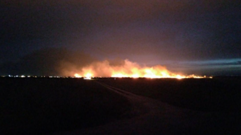 Пожежа у Нижньодністровському національному парку під Одесою. Фото: Думська